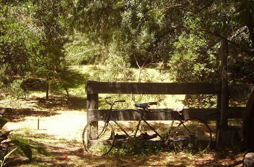 Photo 76 - The Black Cockatoo Nannup