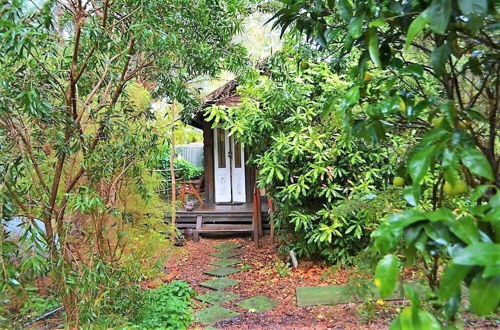 Photo 38 - The Black Cockatoo Nannup