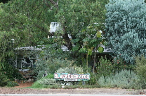 Foto 72 - The Black Cockatoo Nannup