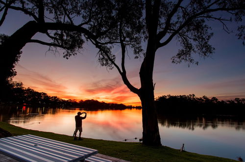 Photo 61 - BIG4 Renmark Riverfront Holiday Park