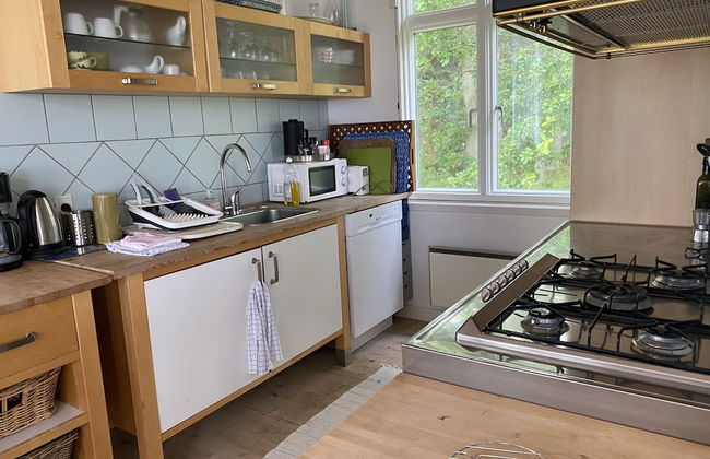 Skaerven Beachfront Condos and Cottage - Foto 57