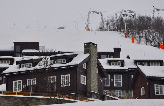 Havsdalsgrenda Apartments - Foto 50