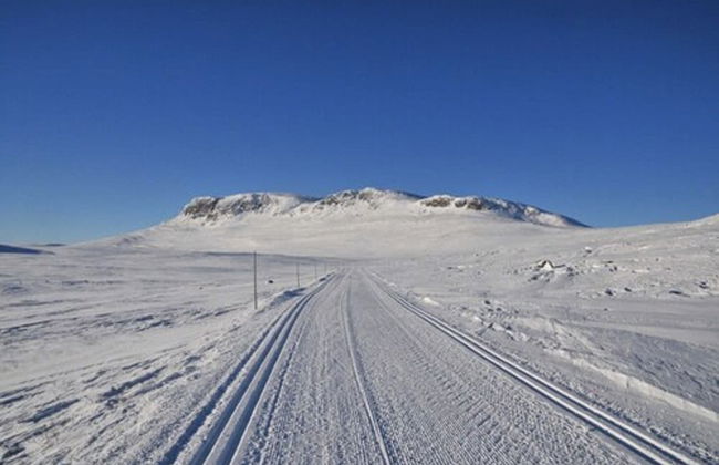 Havsdalsgrenda Apartments - Foto 32