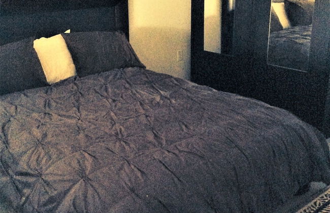 Downtown Executive Condo Loft - Photo 5