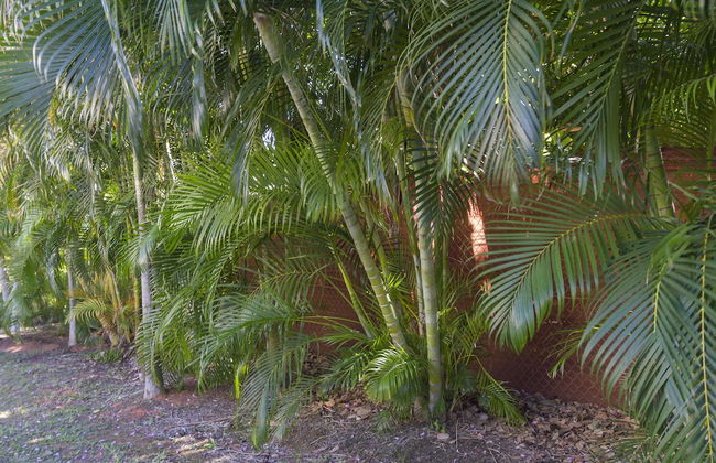Broome Beach Resort - Foto 35