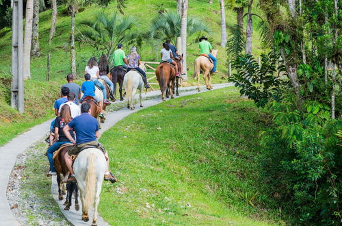 Photo 43 - Hotel Fazenda Dona Francisca