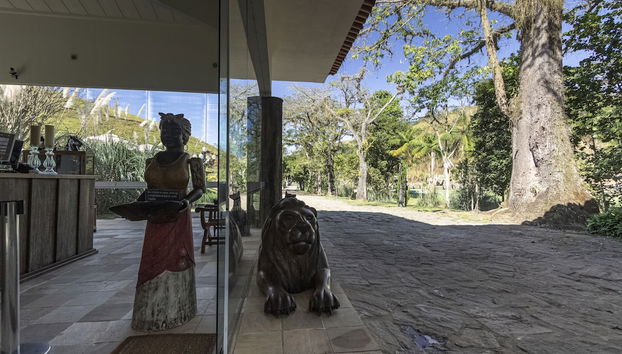 Receção