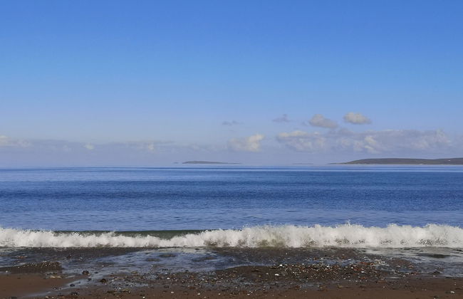 Nature Retreat - Sleeps 4 & Wild Ponies - Foto 17