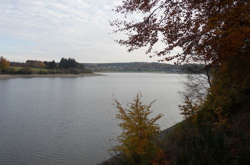 Foto 17 - Detached Chalet With Views of the Lake of Butgenbach in the Middle of Nature