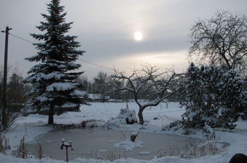 Photo 22 - Landgasthof Zur Wildbahn