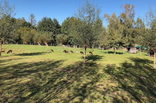 Photo 23 - Landgasthof Zur Wildbahn