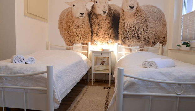Quarto