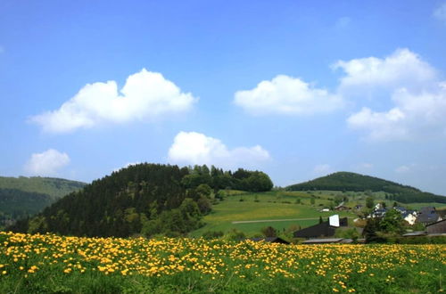 Photo 22 - Bright Apartment Near Willingen With Terrace