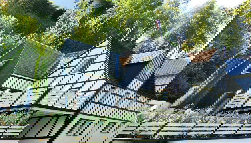 Primary image