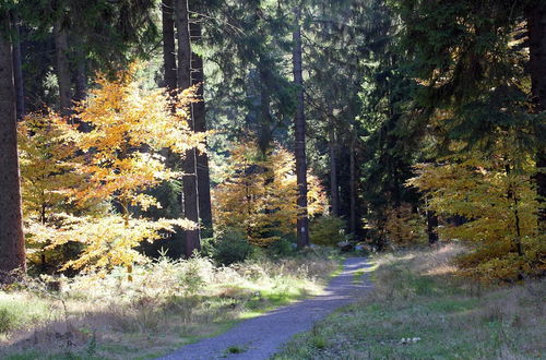 Photo 27 - Apartment in Heubach in the Forest