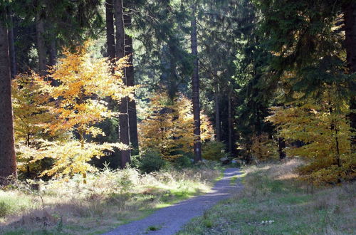 Photo 28 - Apartment in Heubach in the Forest