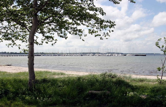 Holiday Home in Gelting - Foto 24
