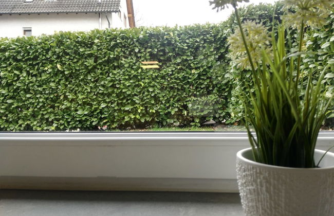 Ferienwohnungen Prestige 2 - Foto 53