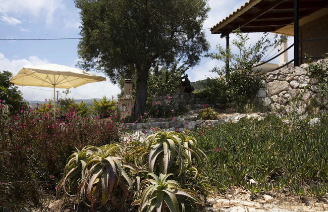 Anemos Studio - Photo 40