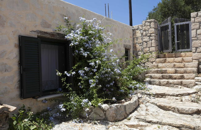 Anemos Studio - Photo 38