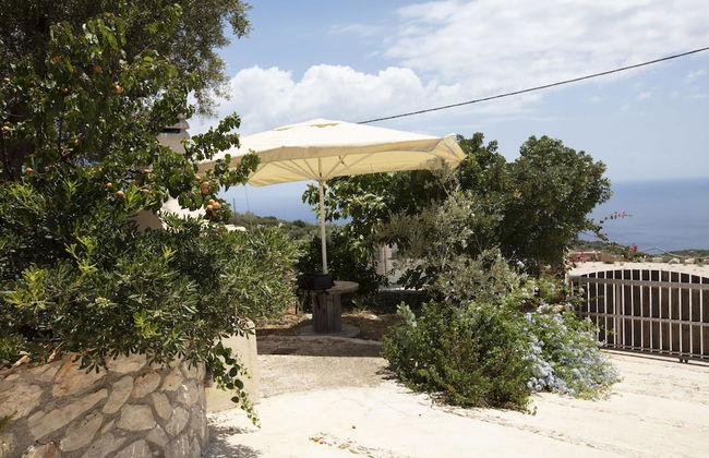 Anemos Studio - Photo 30