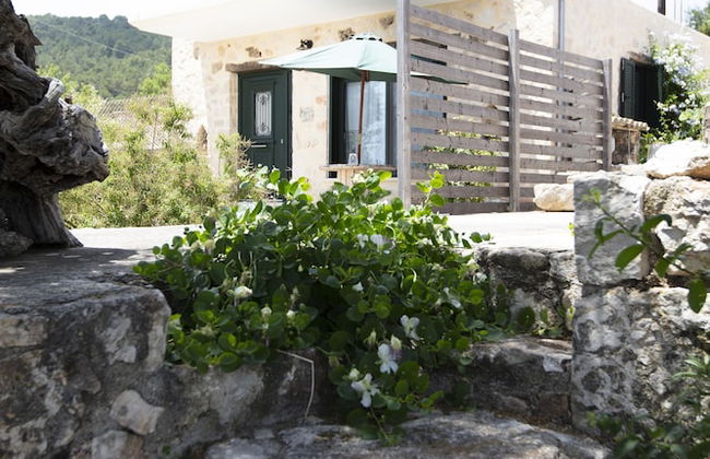 Anemos Studio - Photo 33