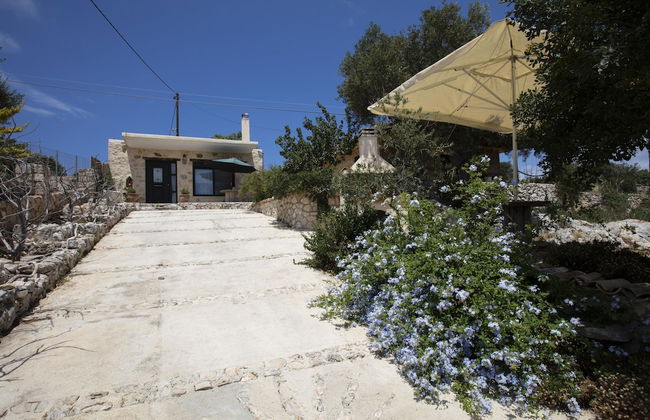 Anemos Studio - Photo 32