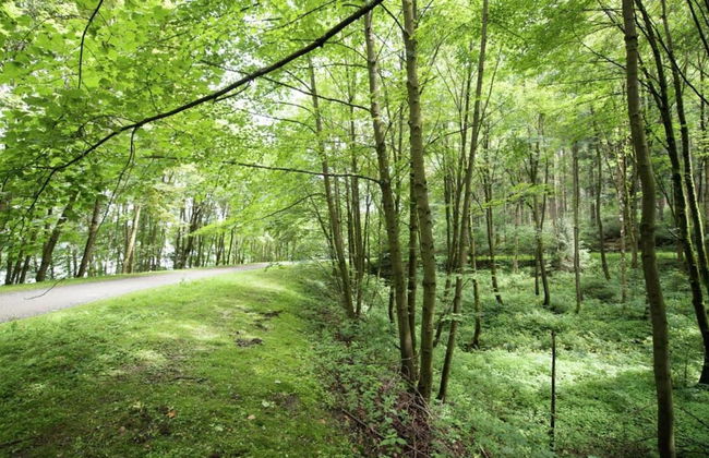 Ferienhaus in Vogtland - Foto 21