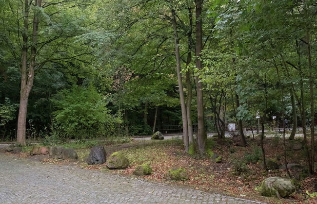 Ferienwohnung im Herzen Ilsenburgs - Foto 36