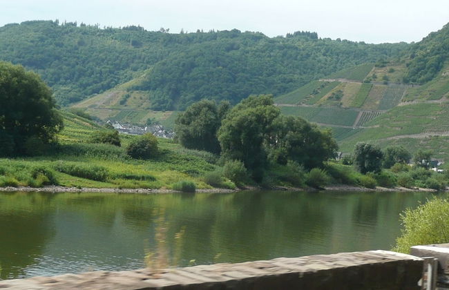 Modern Apartment in Weinsheim With Terrace - Foto 27