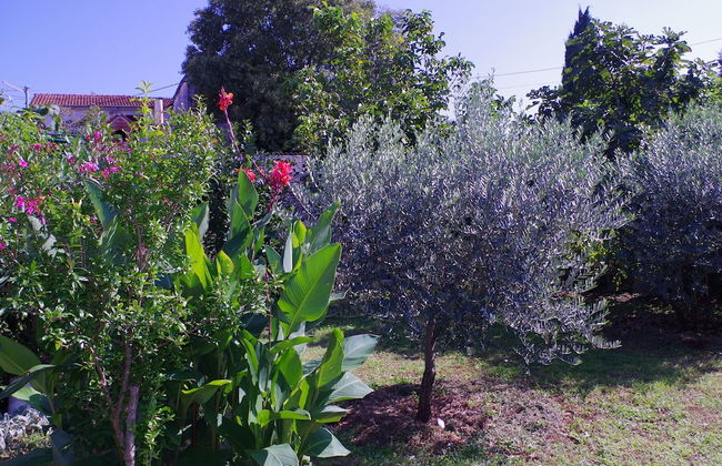 Country House in Rakalj With Scenic Sea Views - Foto 14