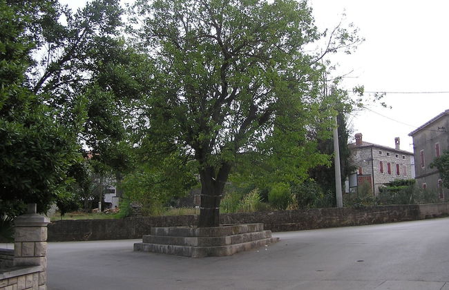 Country House in Rakalj With Scenic Sea Views - Foto 21