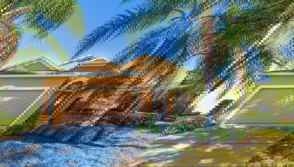 Image principale
