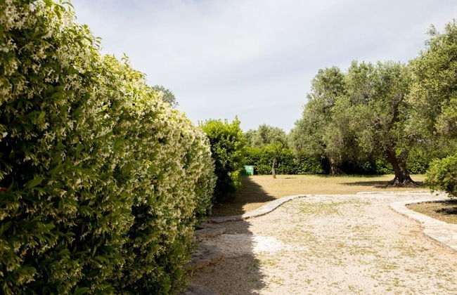 Trullo Degli Ulivi con Piscina e Idromassaggio - Foto 46