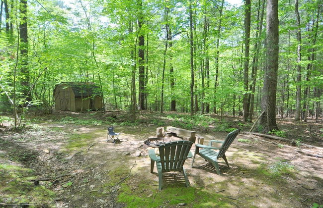 Cabin at Sleepy Creek - Charming Cabin - Foto 17