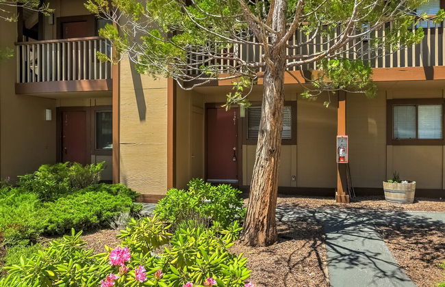 Beachfront Bijou - Photo 20