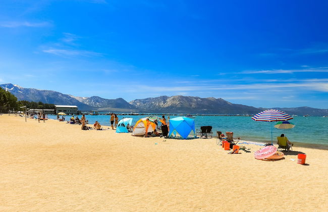 Beachfront Bijou - Photo 15