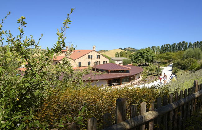 L'Oasi di Pierino - Foto 19