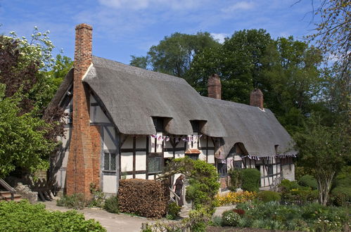 Photo 13 - Edwards Cottage - Grove Road Cottages