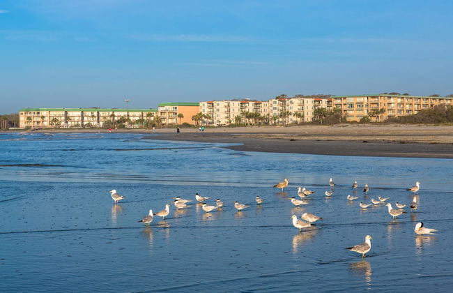 760 Ocean Boulevard #404 by Hodnett Cooper - Photo 21