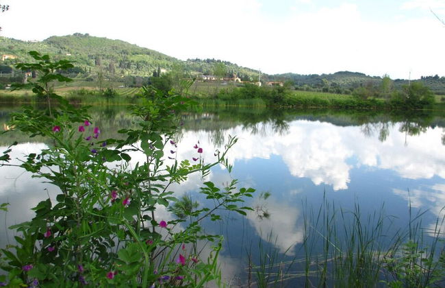 Bulichella - Photo 41