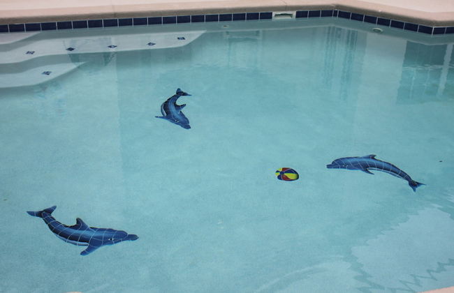 Dolphin's Retreat Near Disney - Foto 1