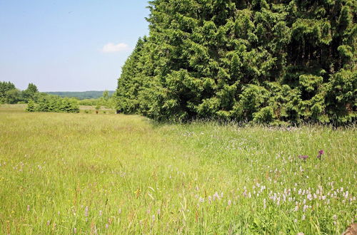 Photo 38 - Spacious Chalet With Private Garden in Waimes