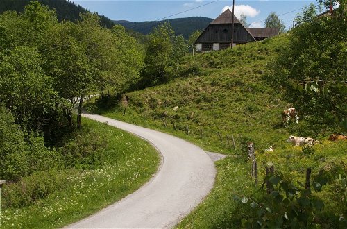 Photo 35 - Chalet in Stadl an der Mur / Styria With Sauna