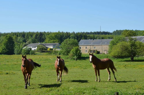 Photo 43 - Lavish Holiday Home in Forrieres With Sauna, Swimming Pool