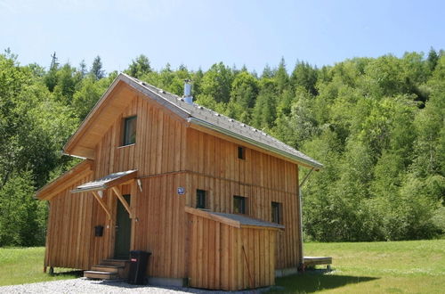 Photo 18 - Chalet in Stadl an der Mur / Styria With Terrace