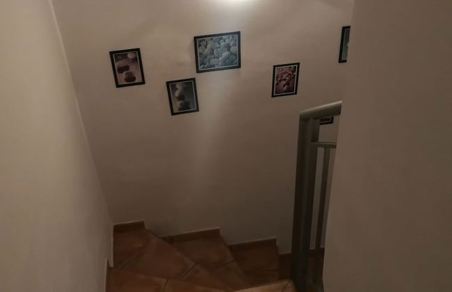 Velez Nazari - Foto 75