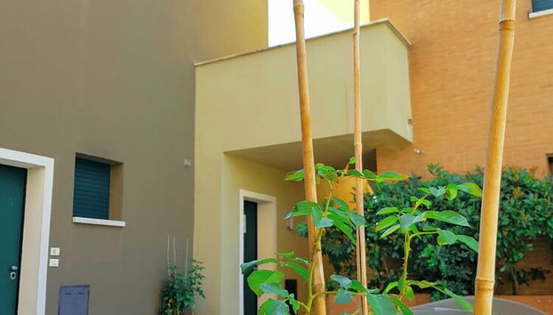 Entrada (vista interior)