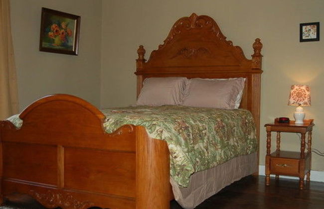 The Cabins at Healing Springs - Foto 3