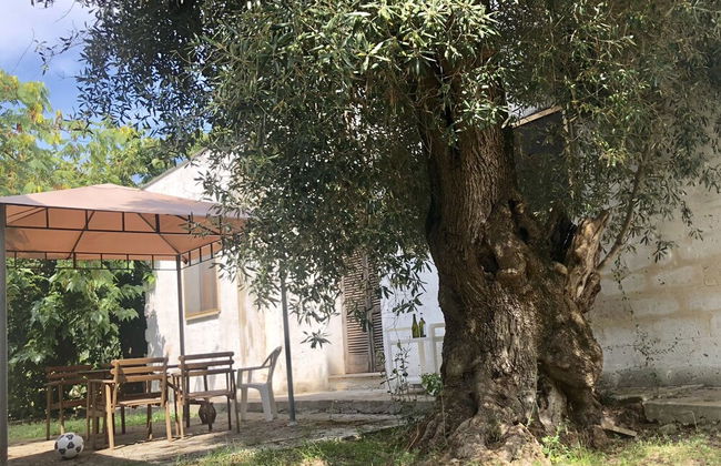 Masseria Pietro - Foto 1